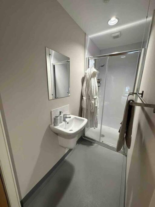 Luna Lux Apartment